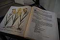 Museo Di Scienze Naturali - Le iris tra botanica e storia 05